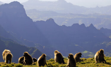 7 Days Tour to Simien Mountain National Park