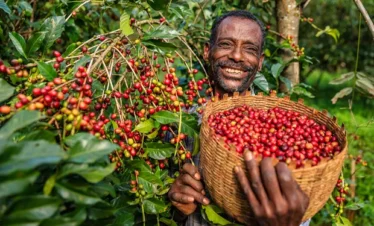8 Days Coffee Tour in Ethiopia