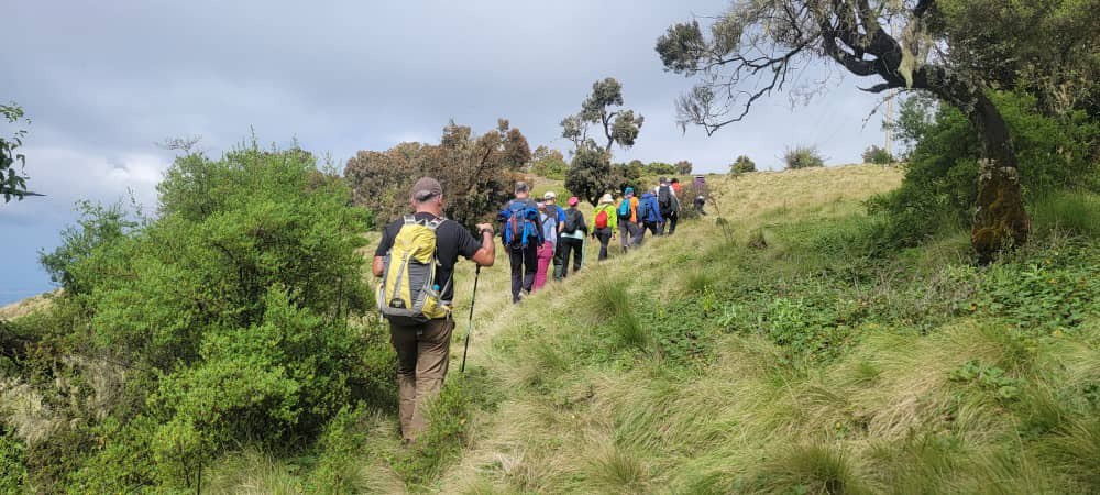 ff2676c6-64c3-452d-8503-68b3cad362a8